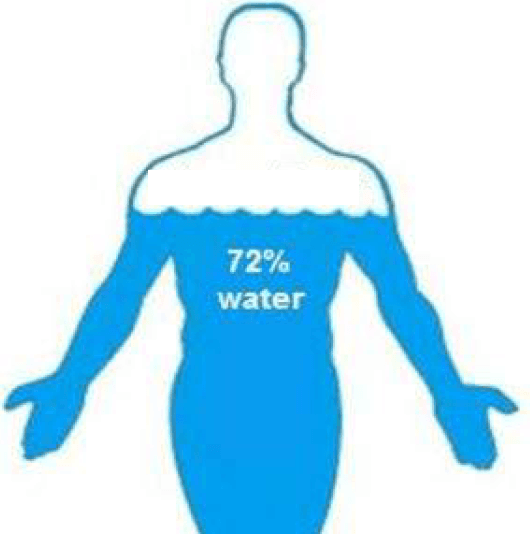 Water-citizen