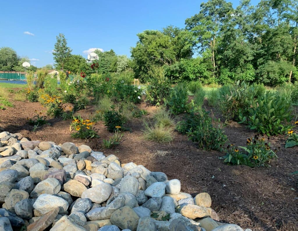 Rain garden – Manville NJ (2)