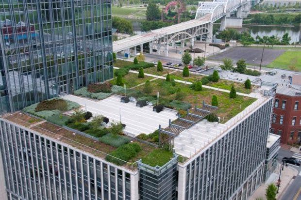 Green roof _ PO