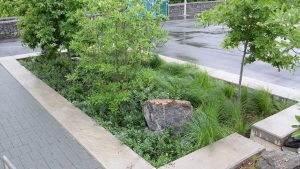 Green infrastructure planter _ PO