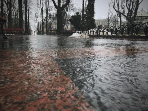 Rain street igor-tudoran-unsplash _ FSP