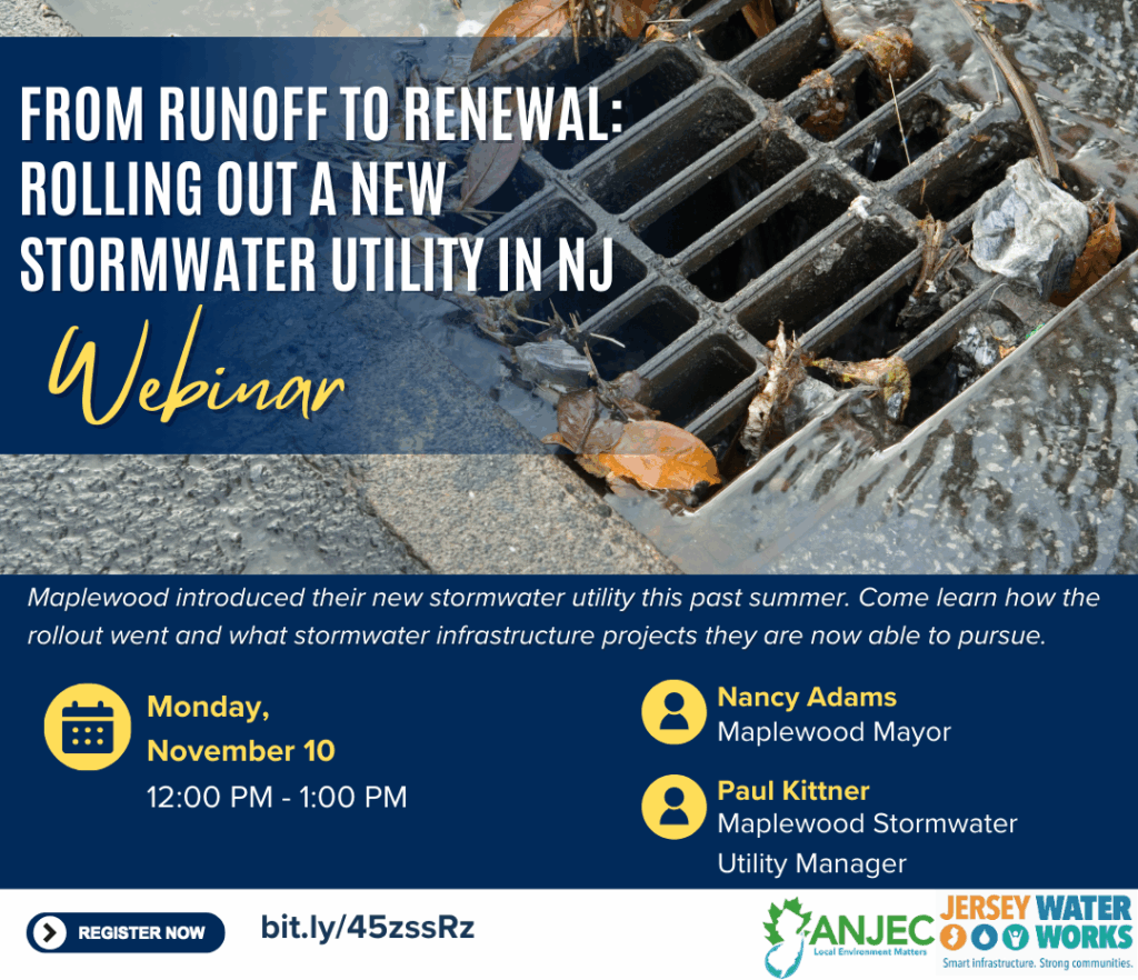 Nov 10 Stormwater Utility Webinar flyer drafts_AV (1080 x 930 px)